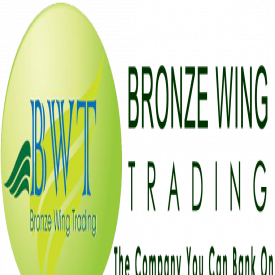 Bronze Wing Trading L.L.C. – Financial Instruments Providers