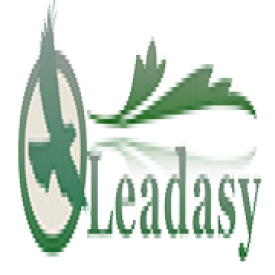 Leadasy