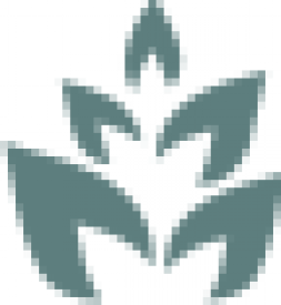 Spilcenter Decorative Wood Home Furnishings