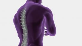 West Edmonton Wellness Centre Alberta, Canada Callingwood Chiropractic