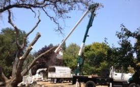 Econo Tree Service, Inc