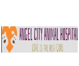 Angel City Animal Hospital
