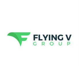 Flying V Group Digital Marketing