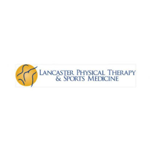 Physical Therapist