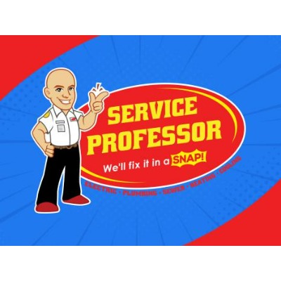 Service Professor