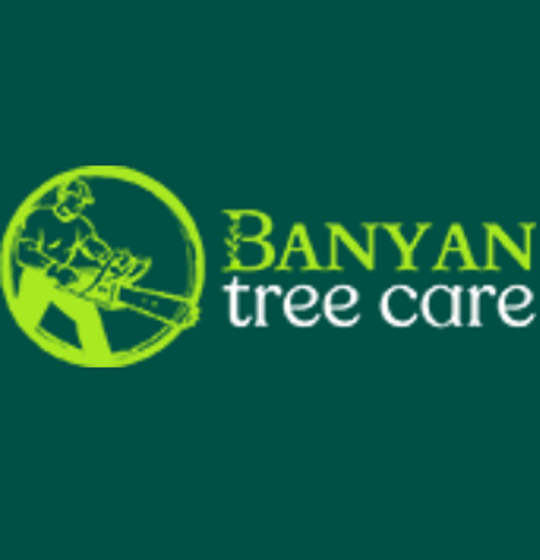 Banyan Tree Care