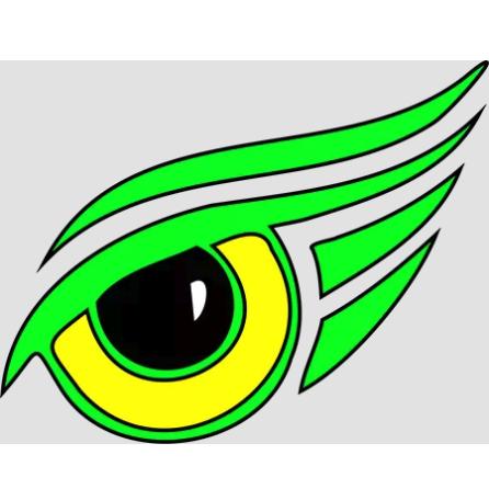 Eagle Eye Mold Inspection of South Florida