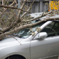 Aviation Insurance in Hamilton, MT